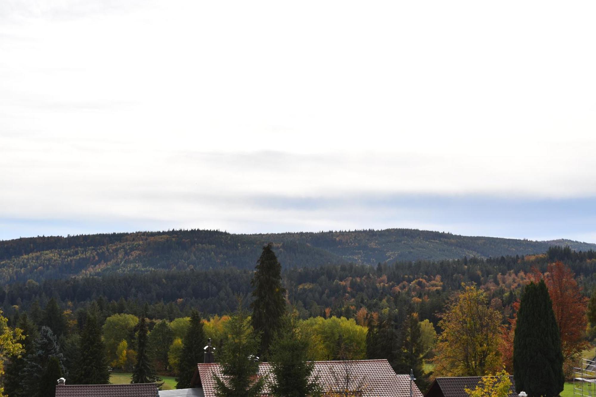 Hotel Talblick Dobel Room photo